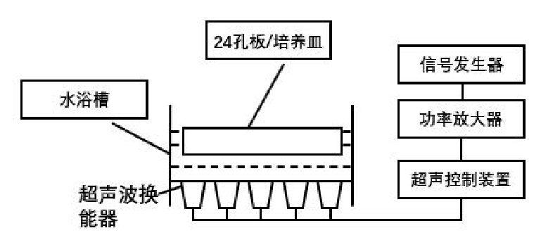 超聲波刺激裝置結構示意圖.png 超聲波刺激裝置結構示意圖.png