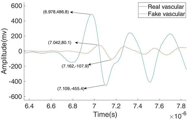 真假血管圖像的光聲信號 真假血管圖像的光聲信號