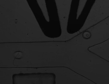 功率放大器微流控實驗結(jié)果