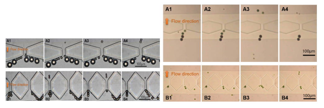 功率放大器 功率放大器