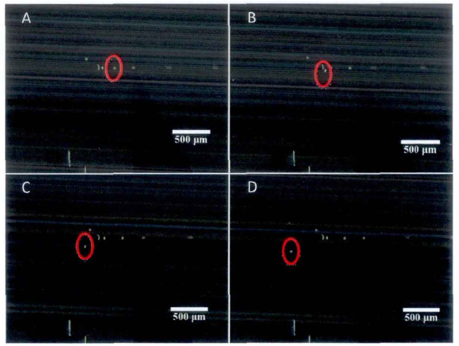 電壓幅值800V、頻率1000Hz時(shí)直徑63m的液滴的運(yùn)動(dòng)過(guò)程。