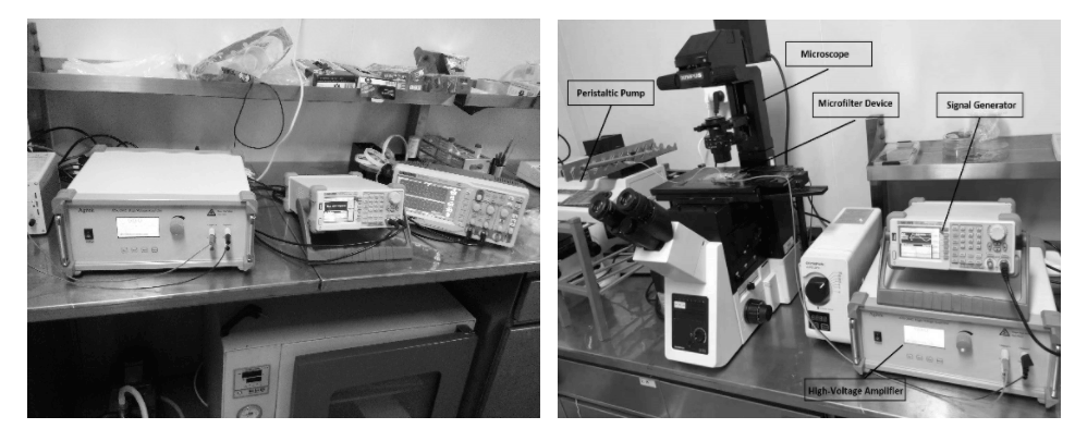 功率放大器 功率放大器