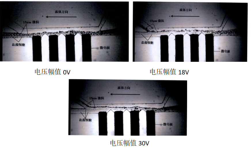 功率放大器 功率放大器