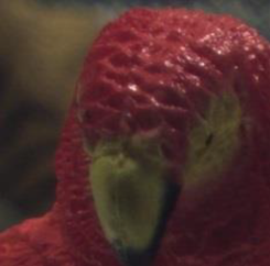 功率放大器實驗結果圖