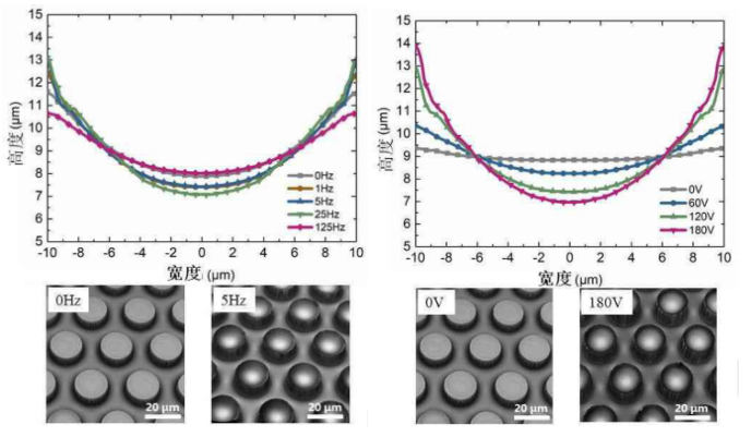 功率放大器 功率放大器