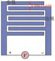 樣品叉指電極示意圖 樣品叉指電極示意圖