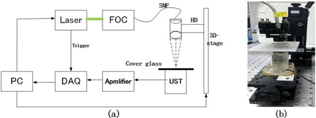 (a)光聲血管采集系統結構示意;(b)光聲成像系統 (a)光聲血管采集系統結構示意;(b)光聲成像系統