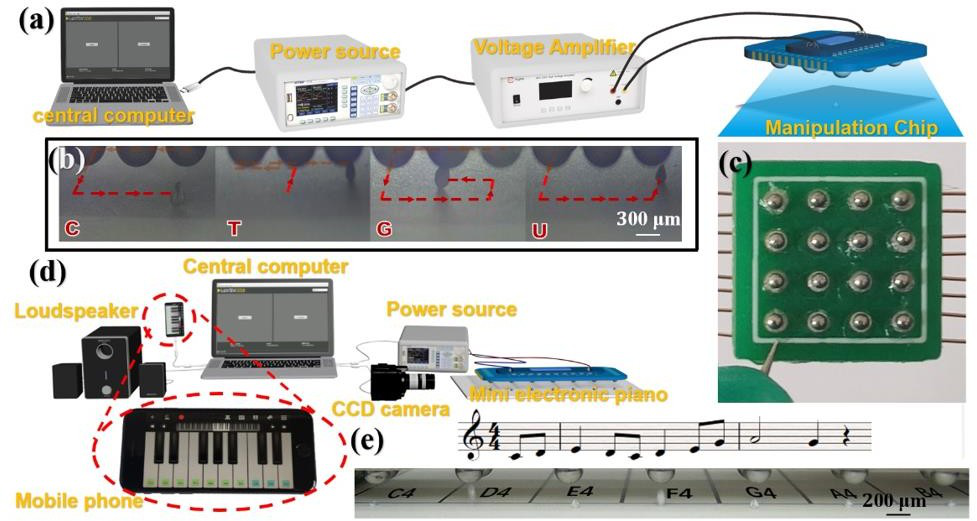 高壓放大器在鎵基液態金屬微型馬達驅動實驗研究中的應用