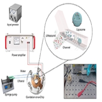 ATA-2031高壓放大器在聲空化微流控器件中的應用